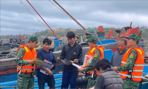 Phát hiện thủ đoạn tháo, gửi VMS để đối phó giám sát chống khai thác IUU