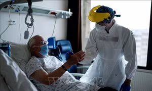 Nỗ lực giải mã mối liên quan tiềm ẩn giữa COVID-19 và bệnh Alzheimer
