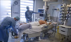 Xác định các đột biến gene liên quan đến nguy cơ mắc COVID-19 thể nặng