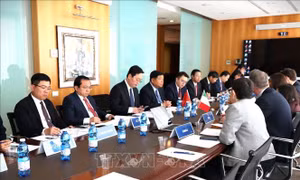 Kết nối hợp tác doanh nghiệp Việt Nam và Italy