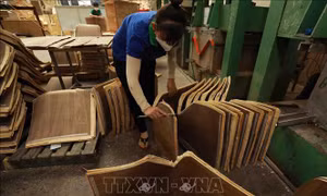 Gia hạn, giảm thuế tác động như nào với doanh nghiệp nông nghiệp?