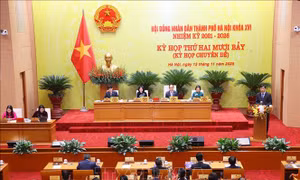 Đầu tư hơn 32.970 tỷ đồng xây dựng tuyến đường kết nối sân bay Gia Bình với Hà Nội