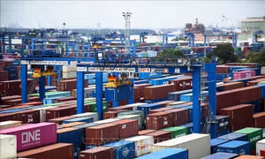 Tổng công ty Tân Cảng Sài Gòn đang làm việc với cơ quan chức năng vụ hàng xuất khẩu bị 'rút ruột'