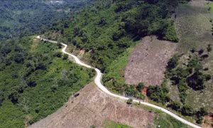 Lâm Đồng: Đề nghị chuyển đổi 7,6 ha rừng để thi công tiếp đường Trường Sơn Đông