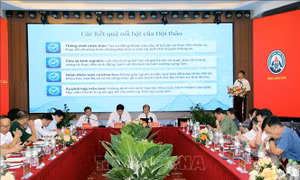 Xây dựng 'lá chắn số' vững chắc gắn với củng cố thế trận lòng dân trên không gian mạng