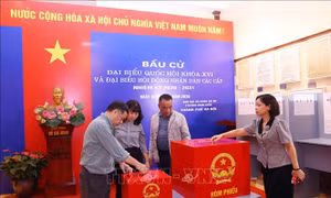 Quy định về hòm phiếu bầu cử