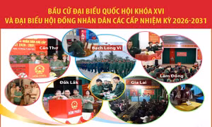 Cử tri hân hoan đi bầu cử sớm
