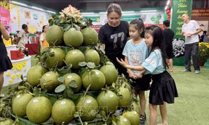 Lần đầu tiên tổ chức Lễ hội 'Hương bưởi Tân Triều'