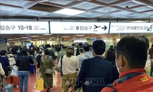 Đảo Jeju thúc đẩy áp dụng giấy phép du lịch điện tử 