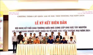 Kết nối giao thương giữa nhà cung cấp Tây Nguyên với doanh nghiệp xuất khẩu