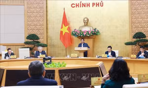 Thủ tướng: Phấn đấu hoàn thành 15/15 chỉ tiêu năm 2024, tạo đà cho năm 2025