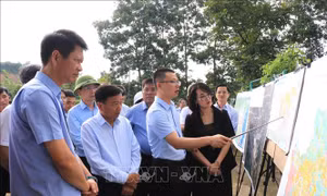 Sớm điều chỉnh hướng tuyến, vị trí nhà ga đoạn qua tỉnh Lào Cai