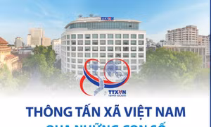 Thông Tấn Xã Việt Nam qua những con số