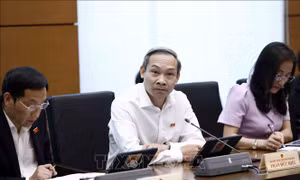 Đại biểu Quốc hội Phan Đức Hiếu: Người bệnh không thể chờ thuốc