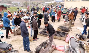Mục sở thị chợ phiên San Thàng những ngày cuối năm
