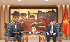 Đại tướng Phan Văn Giang tiếp Bộ trưởng, Tổng Thư ký Chính phủ Mauritania