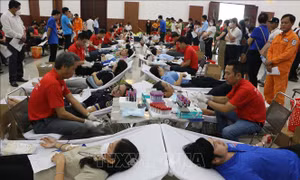 Trên 800 tình nguyện viên tham gia Ngày hội hiến máu 'Giọt hồng sông Vàm'