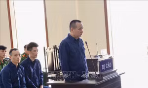 Bốn cựu cán bộ Công ty Xây dựng hạ tầng khu công nghiệp Cần Thơ lĩnh án