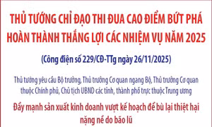 Thủ tướng chỉ đạo thi đua cao điểm bứt phá hoàn thành thắng lợi các nhiệm vụ năm 2025