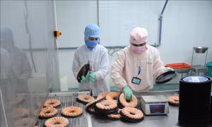 Cà Mau với khát vọng nâng tầm ngành tôm Việt
