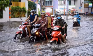 TP Hồ Chí Minh chủ động ứng phó đợt triều cường lên cao cuối tháng 11