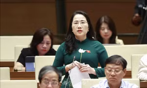 Cần thể chế hóa đúng, đủ về chính sách đất đai đối với đồng bào dân tộc thiểu số, miền núi