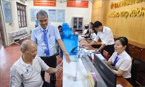 Tiêu chuẩn chức danh công chức lãnh đạo, quản lý trong cơ quan hành chính nhà nước