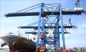 Fitch Ratings đánh giá tích cực về triển vọng tăng trưởng kinh tế của Việt Nam