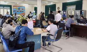 Huế tạo điều kiện cho người khuyết tật tìm việc làm
