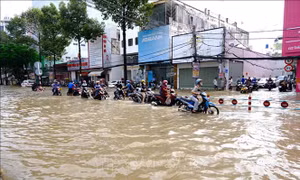 Đề xuất lập mạng lưới cộng tác viên để cảnh báo ngập lụt cho Cần Thơ