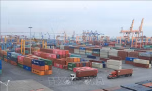 ADB giảm mức dự báo tăng trưởng toàn khu vực châu Á đang phát triển