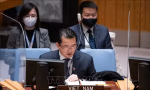 Việt Nam đề cao xây dựng lòng tin trong giải quyết vấn đề vũ khí hoá học tại Syria