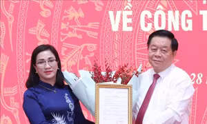 Vụ trưởng Vụ Tuyên truyền Đinh Thị Mai giữ chức Phó Trưởng ban Tuyên giáo Trung ương