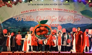 Khai mạc Tuần lễ du lịch 'Về miền quả ngọt' năm 2022