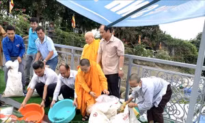Các địa phương thả con giống, tái tạo nguồn lợi thủy sản