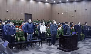 'Cơ chế ngầm' giữa các bị cáo trong vụ án AIC