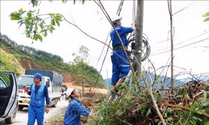 Tổng lực vào cuộc khôi phục cấp điện nhanh, an toàn nhất cho người dân vùng lũ