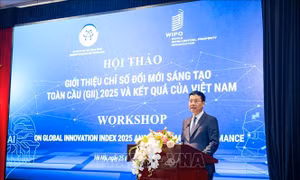 Đổi mới sáng tạo và sở hữu trí tuệ: Chìa khóa phát triển của Việt Nam