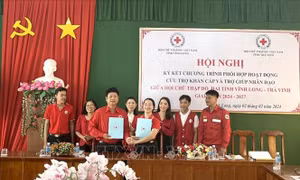 Tăng cường kết nối, phối hợp thực hiện các hoạt động trợ giúp nhân đạo