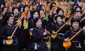 Liên hoan nghệ thuật hát Then, đàn Tính các dân tộc Tày, Nùng, Thái diễn ra vào tháng 11/2024