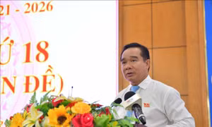 Long An: Sớm đưa các nghị quyết đi vào cuộc sống