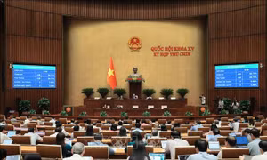 Điều chỉnh Chương trình Kỳ họp thứ 9, Quốc hội khóa XV