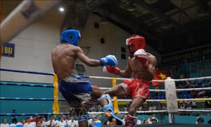 Hơn 400 vận động viên tranh tài tại Giải vô địch Kickboxing các nhóm tuổi Quốc gia 2026