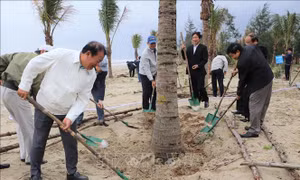 Tết trồng cây: Nâng cao ý thức, trách nhiệm người dân tham gia trồng cây xanh