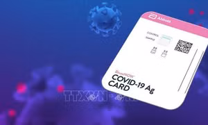 Mỹ cấp phép sử dụng bộ xét nghiệm nhanh tại nhà của hãng Abbott