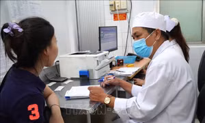 Cảnh báo gia tăng bệnh dại trong thời tiết nắng nóng