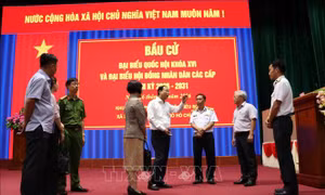 TP Hồ Chí Minh sẵn sàng cho công tác bầu cử sớm trên biển vào sáng 26/2