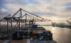 Cảng Antwerp của Bỉ tạm ngừng hoạt động một phần do sự cố tràn dầu 