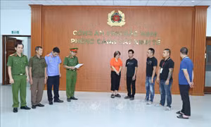 Khởi tố 32 bị can trong đường dây làm giả bệnh án để trốn tránh chấp hành án