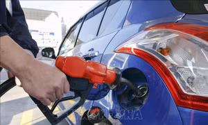 Giá dầu tiếp tục giảm trong phiên chiều 25/8 tại châu Á